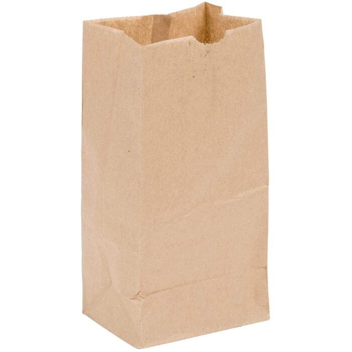 2-PAPER-BAG.jpg 2-PAPER-BAG.jpg