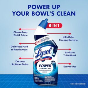 LYSOL TOILET CLEANER 24OZ